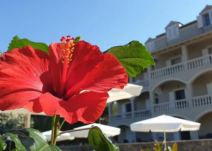 Appartement Hibiscus - First Floor 3 & 4 *
