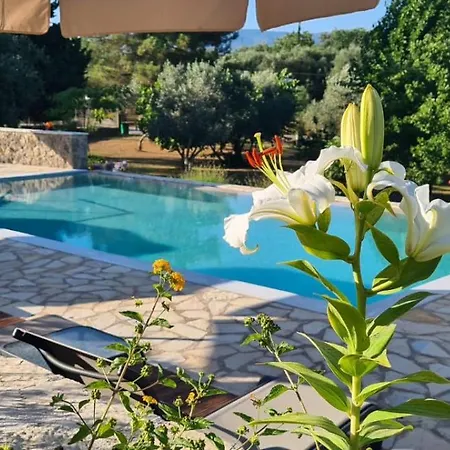 Hibiscus - B * Gouvia