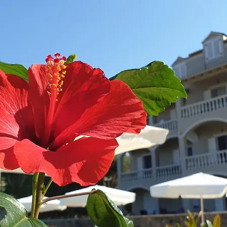 Apartment Hibiscus - B *