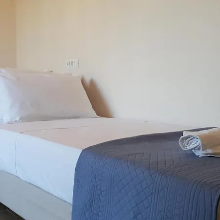 Hibiscus - B جوفيا